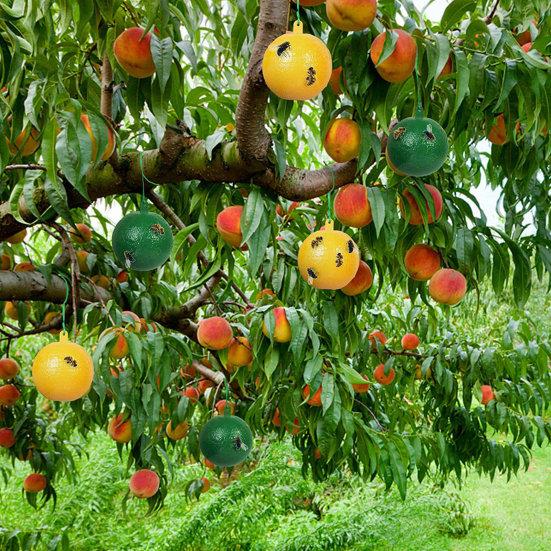 Набор из 10 водонепроницаемых подвесных ловушек для насекомых от грибных комариков и плодовых мушек - Сильный клей, Зеленый и Желтый