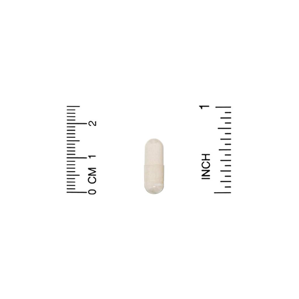 Enzymedica, Яблочный уксус с Хомо, 120 капсул