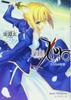 Безумный Пир Бунко У Fate/Zero (3) Королей' (Сэикайся 1-3)