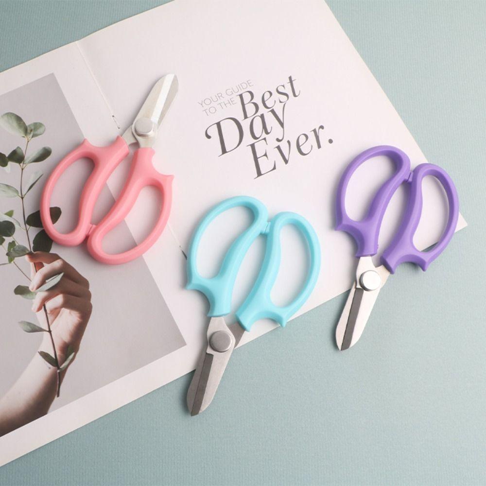 Purple Garden Pruning Shears Blue Garden Scissors Hand Cutter Floral Scissors Gardening Supplies