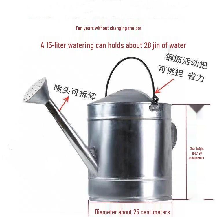 Жестяная лейка: Большая вместимость для овощей и цветов, с распылительной насадкой