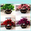 Simulated Pinus Plastics Hwangshanensis Artificial Green Plants Potted Plants