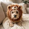Cartoon Lion Face Dog Plush Lion Hat Funny Cat Costume Headwear Pet Lion Mane Hat  Pet Photo Prop