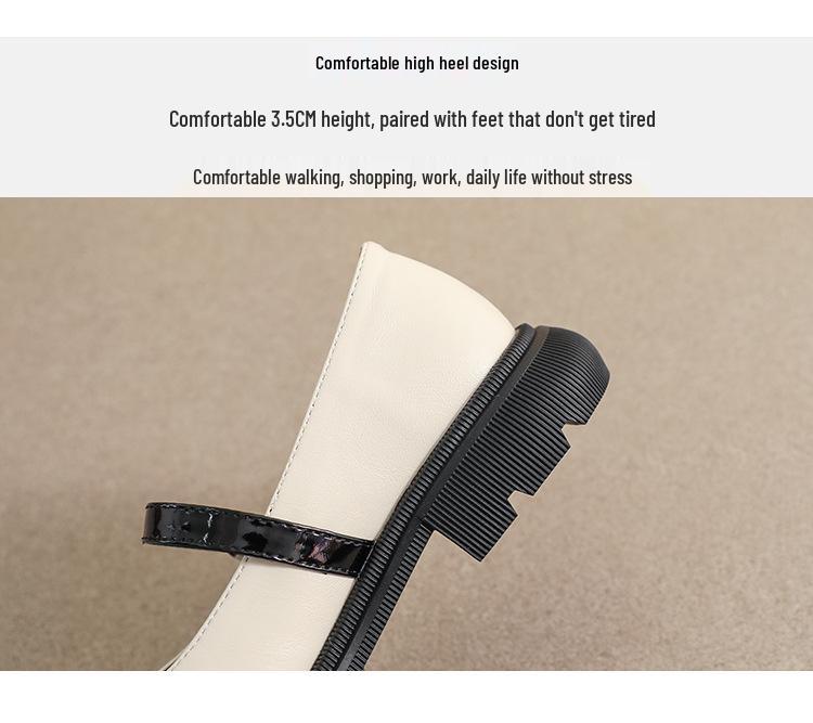 Women's 2023 Thick-Soled Mary Jane Loafers - Spring/Autumn Round-Toe Chunky Heel, Soft Sole