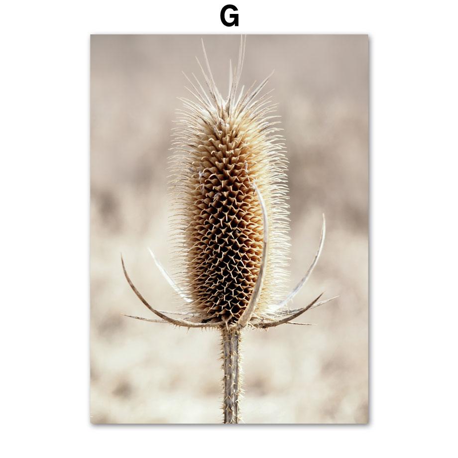 Бежевый Природа Одуванчик Рид Пшеничная Трава Растения Цитаты Настенный Художественный Принт Холст Картины Скандинавский Плакат Декор Фотографии Для Гостиной