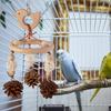 Красочная подвесная игрушка для попугая, тренировочный аксессуар для клевания и жевания, ручная работа, натуральное дерево