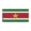 Bannière Drapeau Du Suriname 6 Oeillets 60x120cm En Polyester