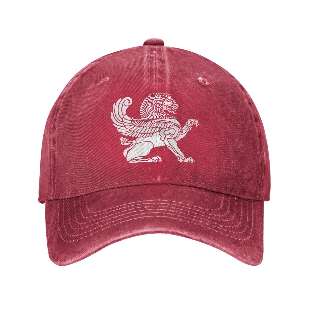 Persian Lion Iranian Baseball Cap Sun  Outdoor Gym Sun-Proof Washed Trucker Hat Women Unisex Casual Design Snapback Cap