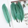 50Pcs Shellfish Feather Goose Feather Diy Handmade Jewelry Accessories Handicrafts Cat Toys Decorative Feathers