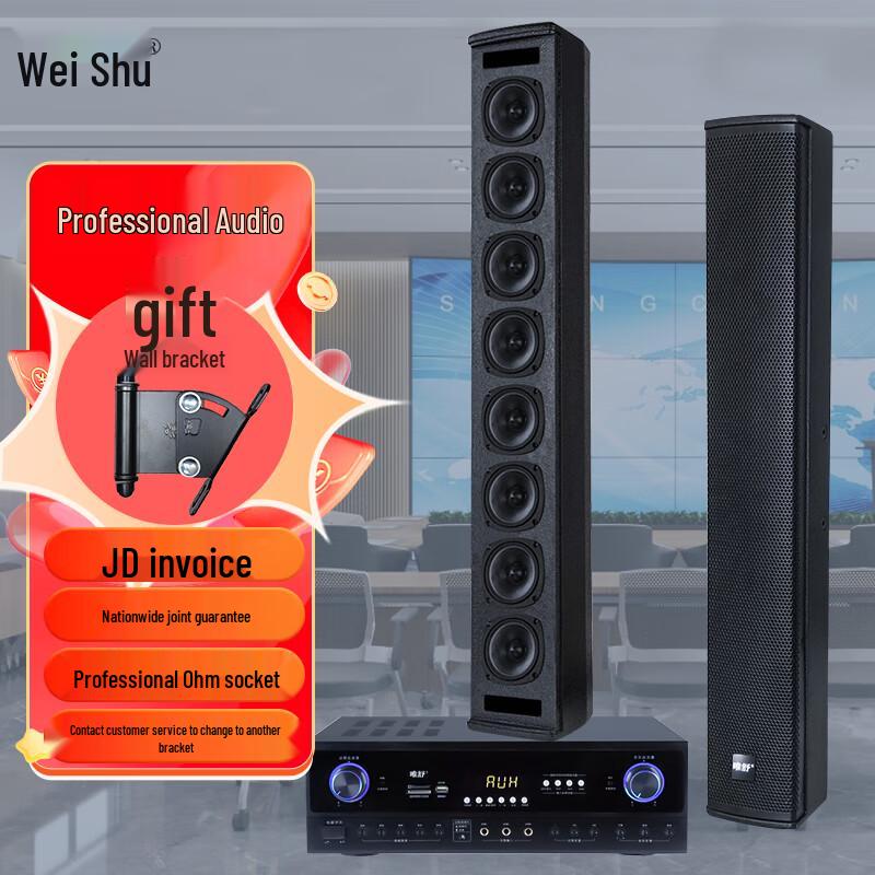 Weishu Professional Indoor Line Array Speakers & Brackets