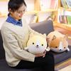 Miaoowa 305060cm Cute Corgi Dog Plush Toy Stuffed Soft Animal Cartoon Pillow