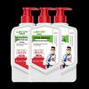 Lierkang Antibacterial & Natural Plant Hand Wash