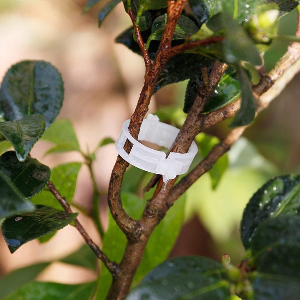 100Pcs Premium PP Plant Clips for Tomatoes Cucumbers Peppers Melons Vine Crops Flowers Garden Support Upright Growth Ventilated