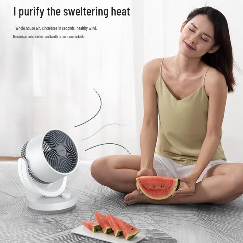 Airmate X28 Desktop Air Circulation Fan
