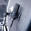 Audio-Technica AT4050 Multi-Pattern Condenser Microphone, Dual Diaphragm, Transformerless, Shock Mount, Black