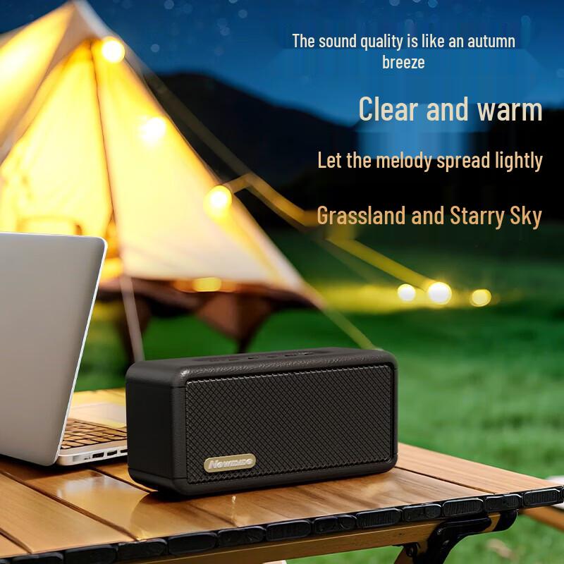 Bluetooth-колонка HIFI Newmine BT20, штекер CN (адаптер в комплекте) (Китайская версия)