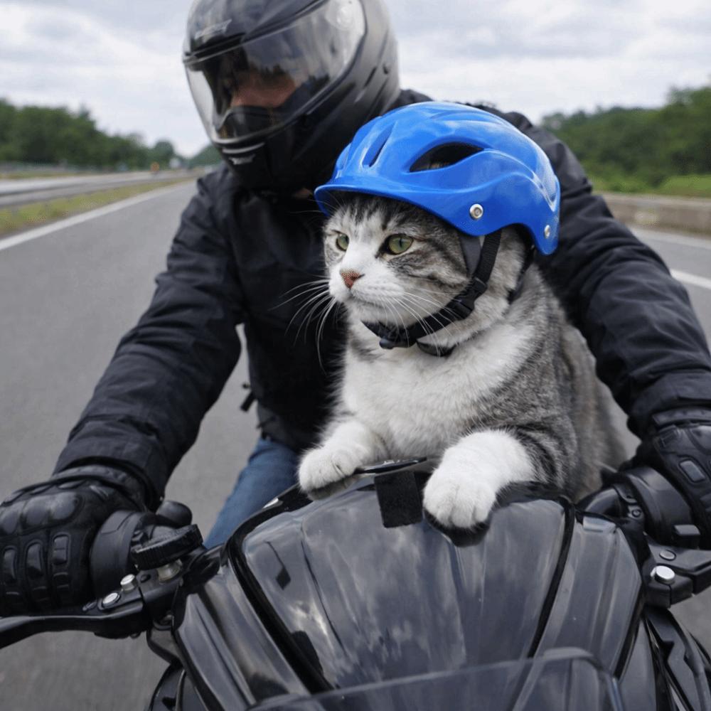 Comfortable Fit Pet Motorcycle Helmet Adjustable Dog Riding Helmet Fashion Dog Helmet  Safety Gear