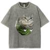 Watermelon Cat Silly Cat Meme T-Shirt Summer Sport Loose T Shirt Tops Shirt Is A Stylish Unisex Top for Both Men and Women