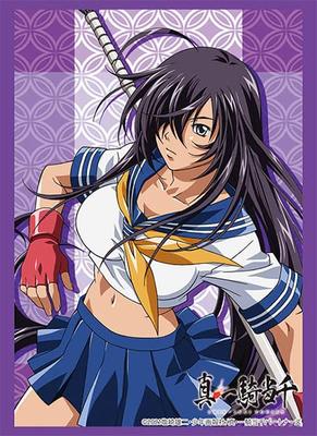 Коллекция Рукавов Высокого Качества Том 3435 Ikki Tousen "Кан'у" Набор