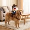 Novelty Dog Cosplay Costumes Adjustable Halloween Dog Clothes Dog Riding Denim Clothing  Gift