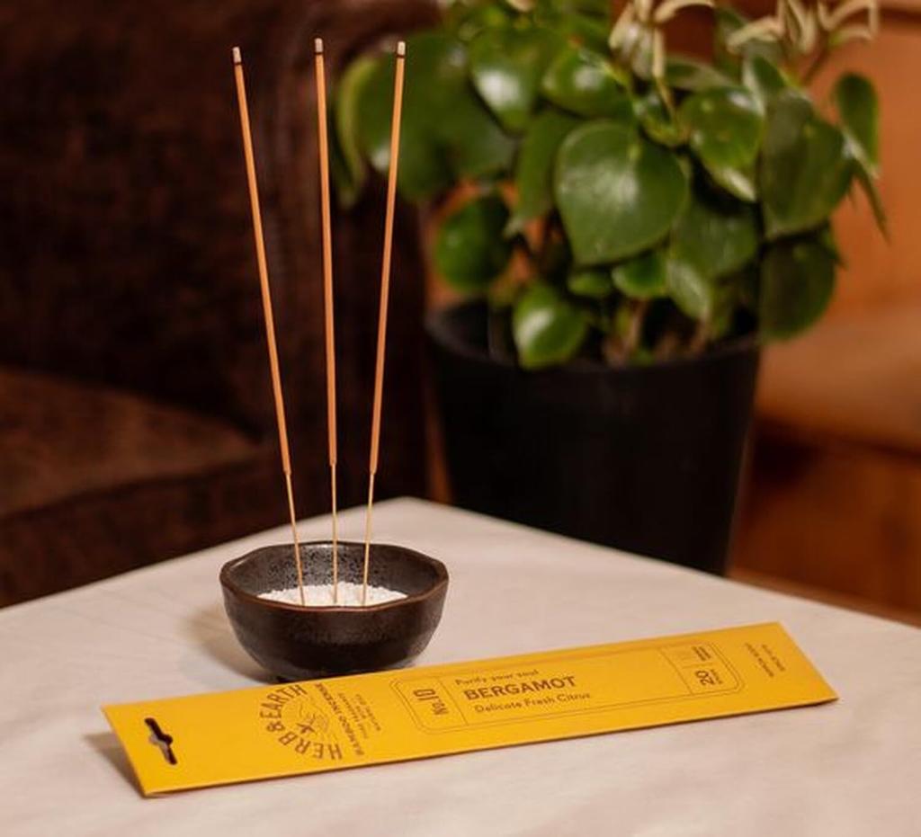Nippon Kodo Bamboo Incense 10 Bergamot 20 Pieces H&E