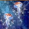 5D DIY Diamond Painting Beautiful Jellyfish Decoration Home Picture Of Rhinestone Diamond Embroidery Gift