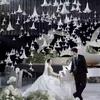 5 шт. Поделки своими руками Искусственный Цветок из ЭВА Элегантный Реалистичный Подвесной Цветок Белая Ручная Работа Имитация Цветочного Декора Сценический Макет