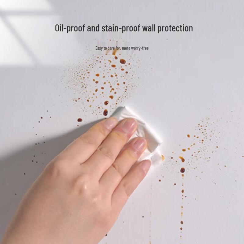 Transparent Static Wall Protection Film