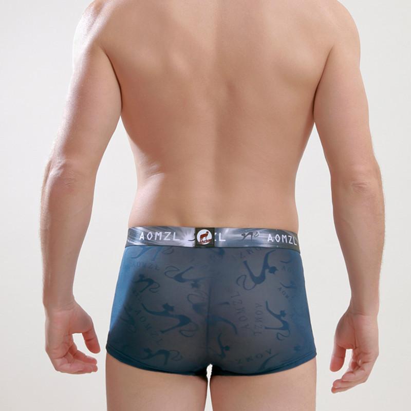 Новые мужские сексуальные трусы-боксеры из ледяного шелка в сетку, дышащие шорты-боксеры, модное нижнее белье