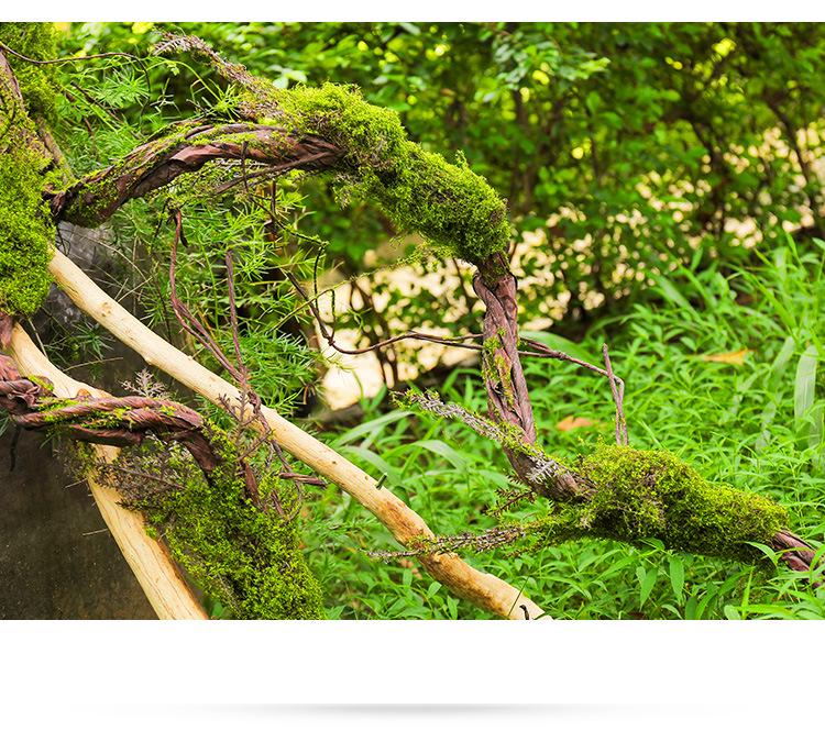 Retro Style Bionic Fake Plants: Withered Vines for Indoor Forest Decor