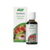 Капли Vogel Cistoforce 50 мл