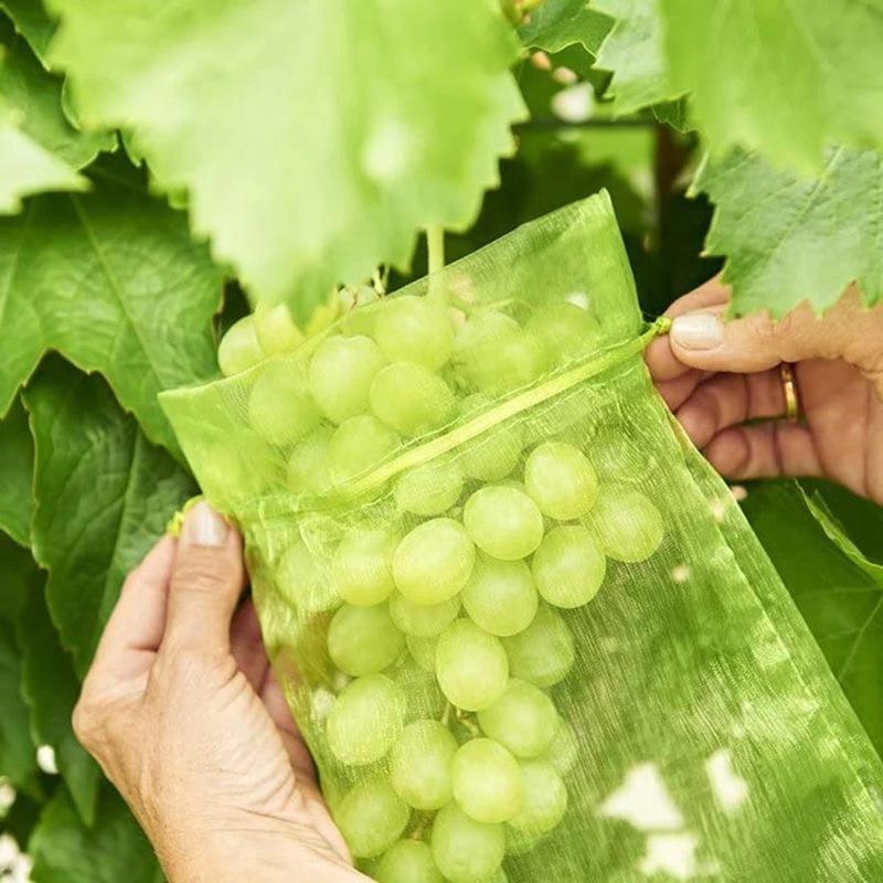 50Pcs Grapes Fruit Protection Bags Garden Mesh Bags Agricultural Orchard Pest Control Anti-Bird Netting Vegetable Bags