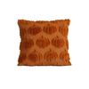 Pumpkin Pattern Pillowcase Solid Color Hide Zipper Soft Wool Velvet Pillow Case Halloween Cushion