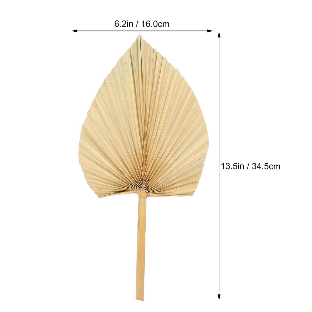 3 шт. Настенное украшение Свадебные украшения Лист Окно Пальма Сушеный Веер Сухие листья Декоративное моделирование Гостиничные принадлежности