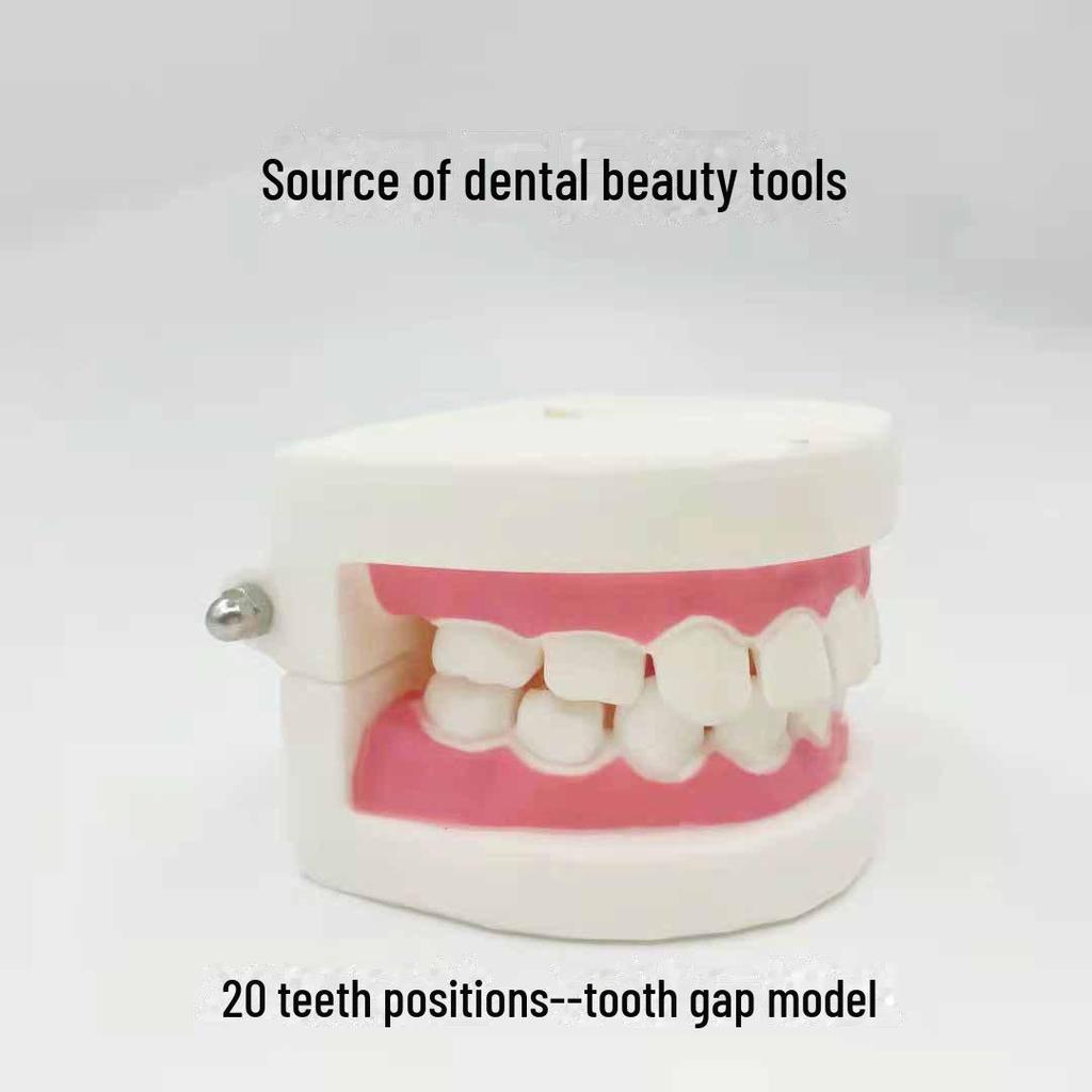 Образовательная модель зуба для детей - Игрушка для практики чистки зубов
