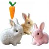 Мягкая игрушка Мой реалистичный кролик Игрушка Симуляция Ходьба Виляние Кролик Подарки на день рождения