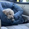Универсальное автокресло-лежанка для домашних животных с съемным моющимся чехлом для собак и кошек, водонепроницаемое и нескользящее, для использования круглый год