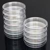 Transparent with Lids Clear Petri Dish Bacteria Culture Dish Petri Dishes Sterile Petri Dishes