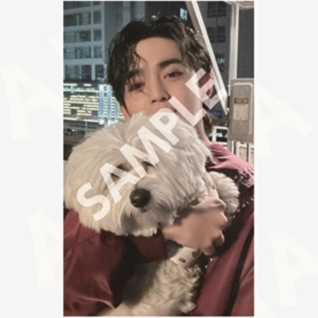 SEVENTEEN FML 2023 ЯПОНСКИЙ ФАН-ВСТРЕЧА LOVE JAPAN ТОКИО ОСАКА ОФИЦИАЛЬНАЯ Фотокарточка