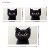 2D Милый Черный Котенок Фон Декорация для Фотографии Любителей Животных