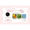 Missha M Cushion Foundation (Pro Cover) Official Online Shop Limited Package (No.25 Healthy Skin Tone)