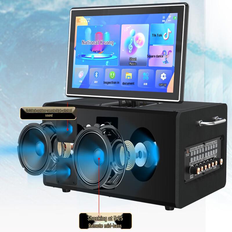 Portable Outdoor Karaoke Bluetooth Speaker System (CN version)