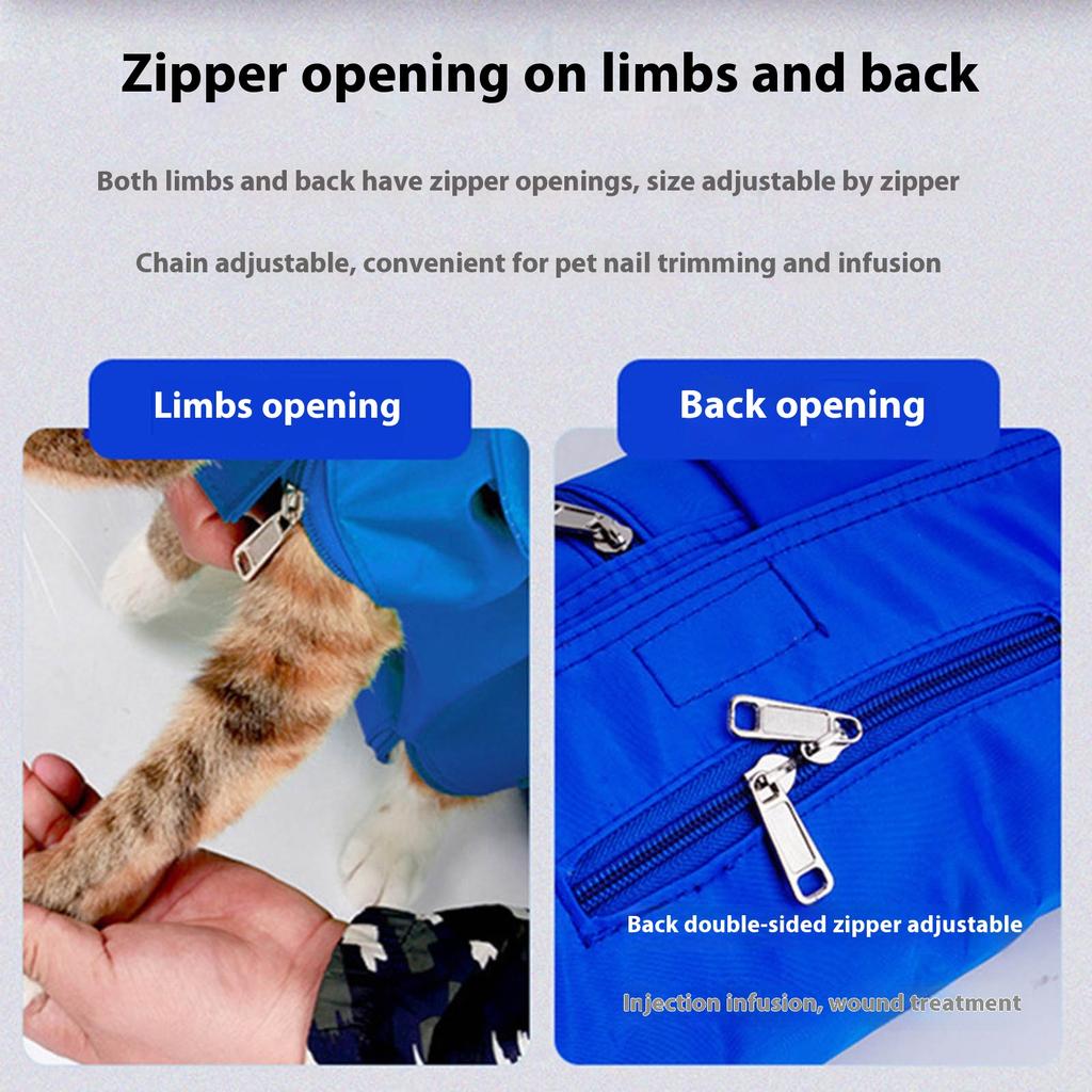 Foldable Pet Carrier Backpack Lightweight Nylon Material Breathable Mesh Portable Design For Cats And Small Dogs