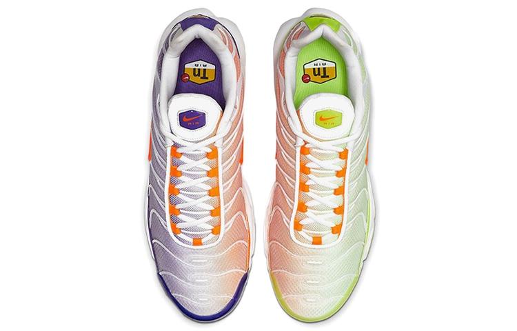 Nike Air Max Plus Color Flip Pack Виноградный CI5924-531
