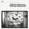 Other Voices Other Rooms by Truman Capote Paperback Book 9780141187655
