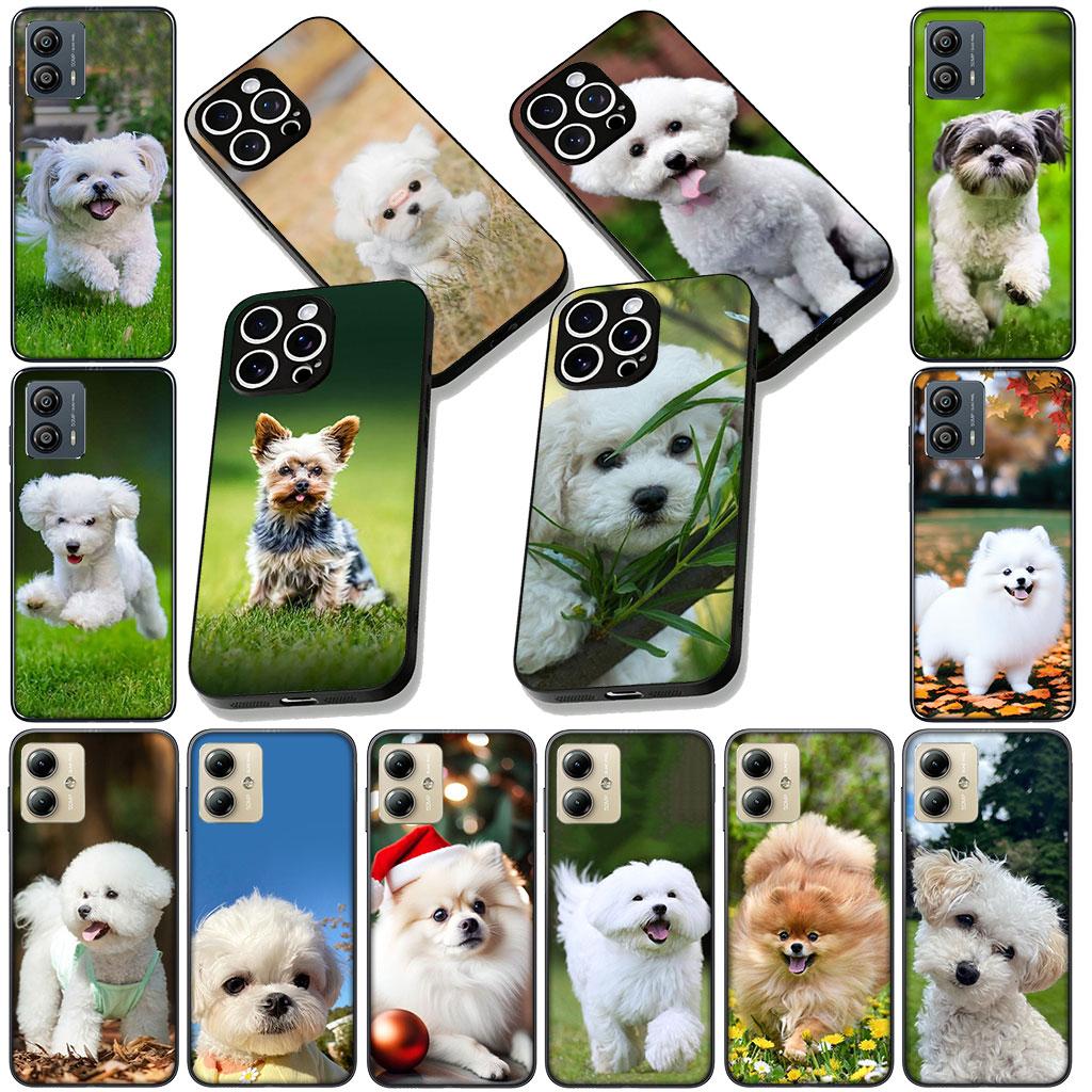 Мягкий чехол для Motorola Moto G86 G14 G35 G34 G45 G55 G64 G75 G85 G24 G15 G54 G57 Power Coque Чехол для телефона Собака Пудель Бишон Фризе