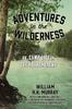 Книга Adventures In the Wilderness : Or, Camp Life In the Adirondacks