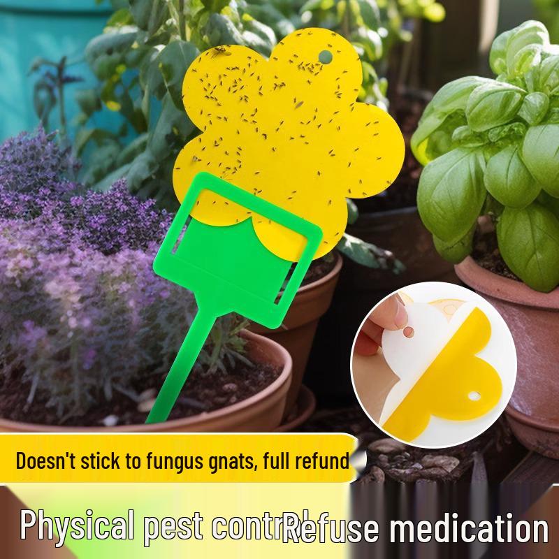 Yellow and Blue Double-Sided Sticky Insect Traps for Small Flies - Indoor Summer Use