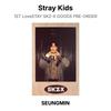 Stray Kids 1-й LoveSTAY SKZ-X ТОВАРЫ ПРЕДЗАКАЗ Официальная фотокарточка