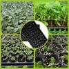 10 Pcs 50 Cell Starter Planter Plant Propagation Containers Cell Seedling Trays Tomato Germination Garden Nursery Sapling